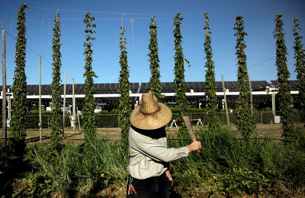 Historia de Sierra Nevada Brewing Company 4 Historia de Sierra Nevada Brewing Company