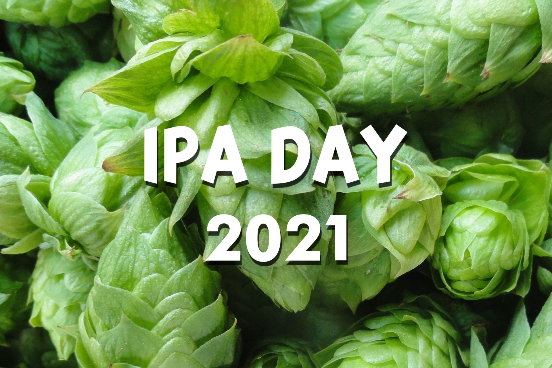 IPA Day