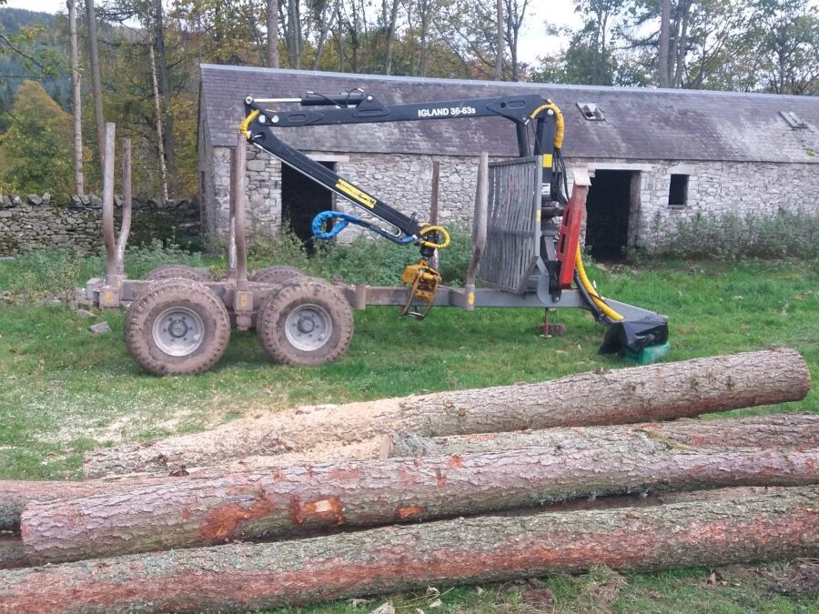 forestry-1-1200x675