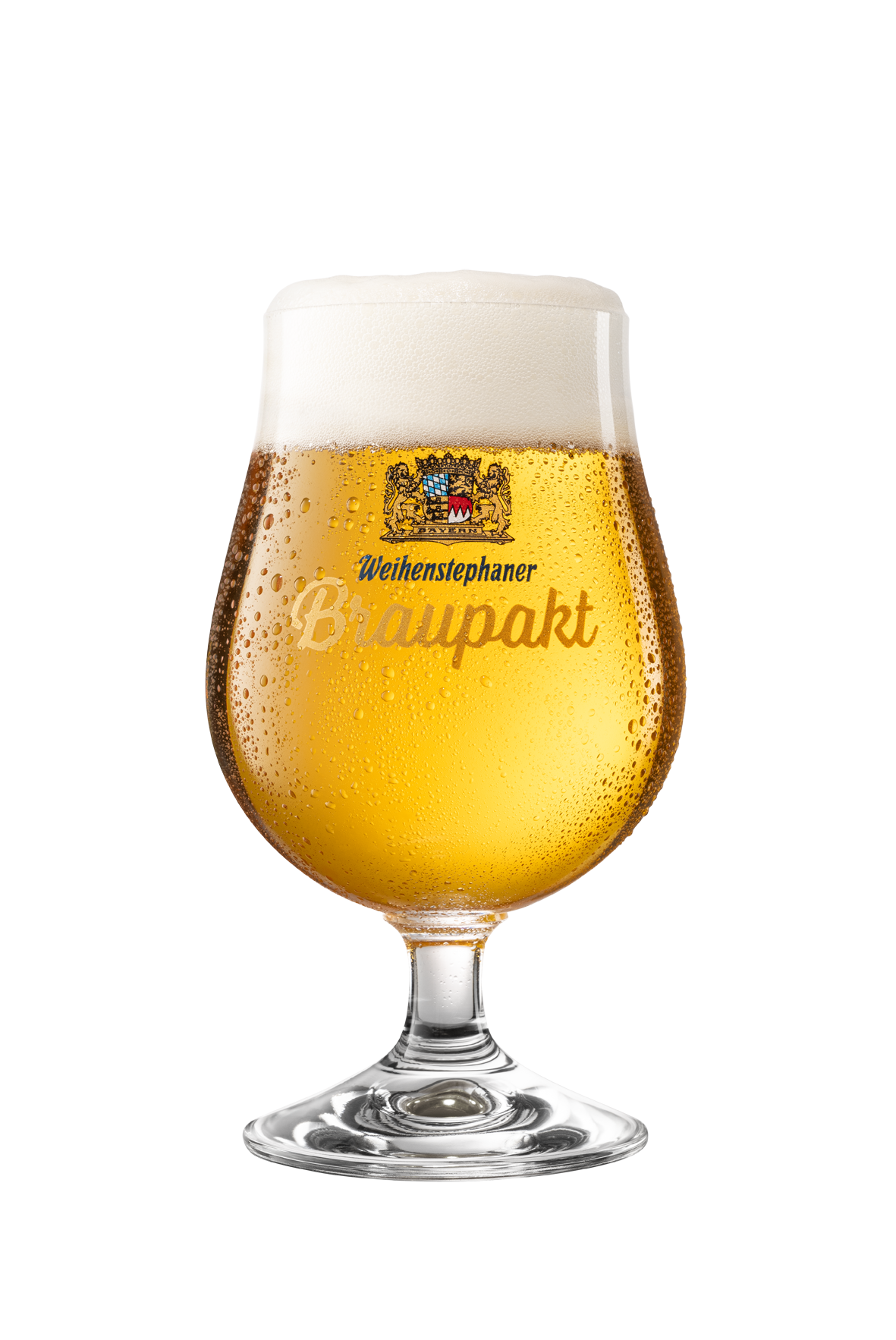 Copa de Braupakt 2023-2024